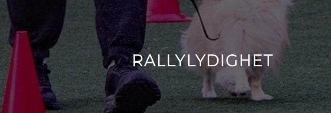 Rallylydighet fritrening hele hallen (krever Hallabonnent)